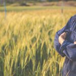 médiation et exploitation agricole