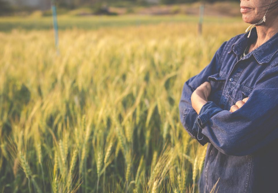 médiation et exploitation agricole