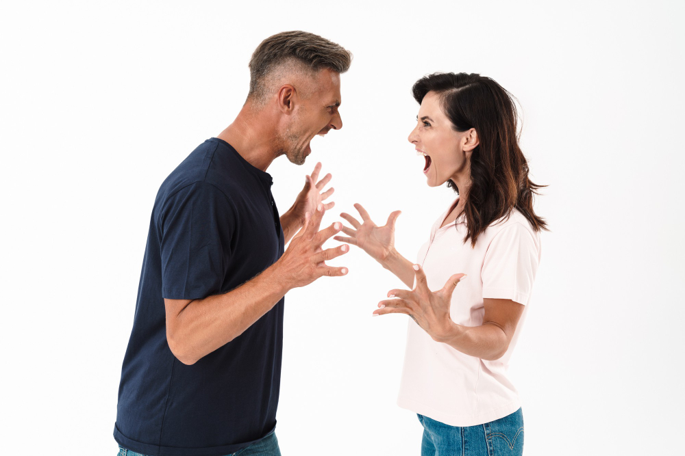 comment bien se disputer - Médiation